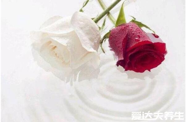 朱砂痣的爱情含义,是埋藏心底挥之不去的印记