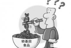 转基因是什么意思，转基因食品的4大危害