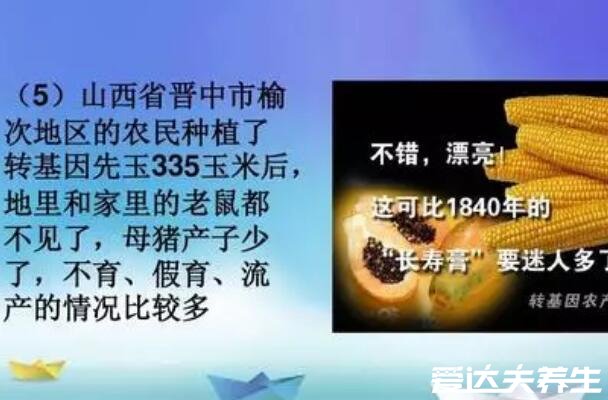 转基因是什么意思,转基因食品的4大危害