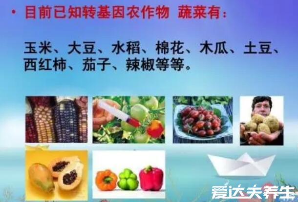 转基因是什么意思,转基因食品的4大危害