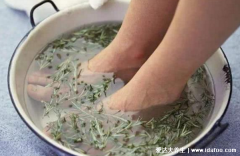 艾叶泡脚有什么作用与功效，去脚气/治痛经