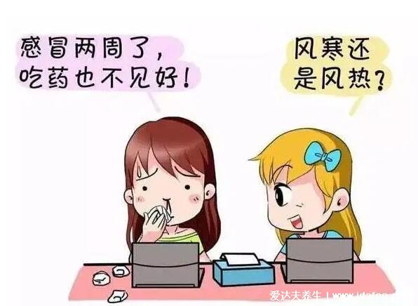 风热感冒和风寒感冒的区别,风热流黄脓鼻涕/风寒流清鼻涕(区别图)