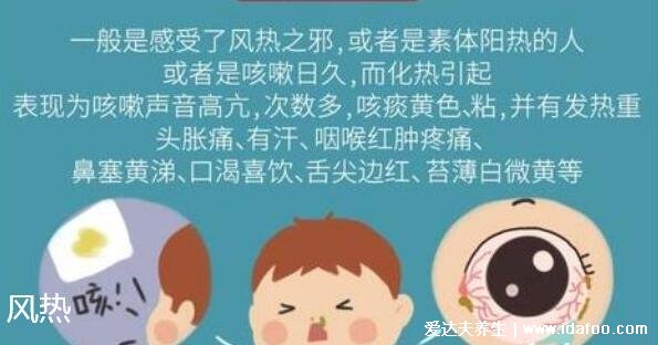 风热与风寒最简单区分图,舌苔颜色/咳嗽声音等6大特征分辨