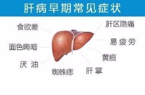肝病早期可能有6个征兆,持续低热/乏力/食欲减退是常见症状