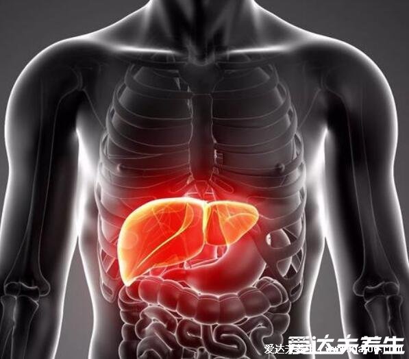 肝病早期可能有6个征兆,持续低热/乏力/食欲减退是常见症状