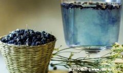 黑枸杞的正确吃法，可以直接吃效果最好/泡