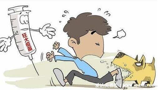 狂犬疫苗有效期是多久,可有半年/超过半年被暴露要注射
