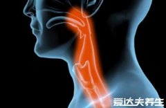 罗红霉素片的功效与作用,多用于呼吸道感