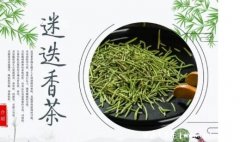 迷迭香的功效与作用,可提神醒脑/改善脱发