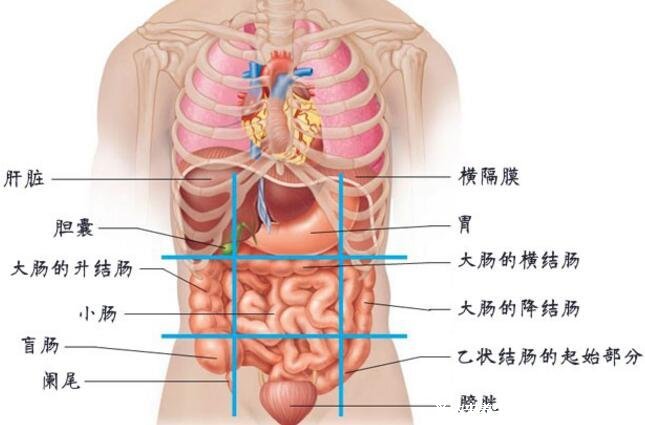 盆腔炎有2个明显症状,分别是白带增多/下腹疼痛(多发已婚女性)