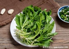 荠菜图片功效与作用及食用方法,可明目护