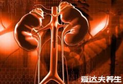 肾阴虚和肾阳虚的区别，睡眠/气色/小便/体