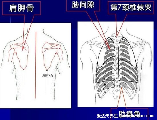 肾结石会引起身体哪个部位疼痛图片,腹痛/腰痛(肾疼腰疼区别图)