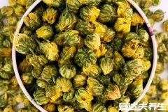 胎菊的功效与作用,保护眼睛/清热去火/降胆