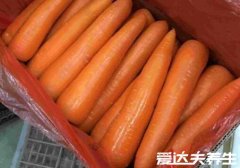 维生素a含量高的食物，胡萝卜/猪肝/番薯/鸡