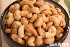 腰果的营养价值,美容养颜/补充体力等四大