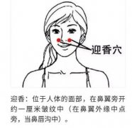 迎香穴位位置图，位于鼻翼两侧1厘米皱纹处