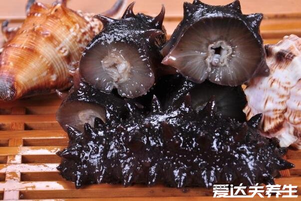 吃海参有什么好处,男人补肾壮阳/女人美容养颜