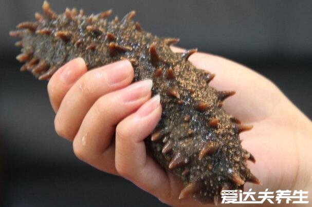 吃海参有什么好处,男人补肾壮阳/女人美容养颜