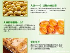 大豆卵磷脂的功效与作用,延缓衰老/健脑益