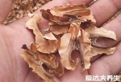 分心木的功效与作用，改善失眠/补肾壮阳