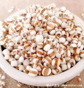 护肝食物三宝,分别是薏仁/山药/龟苓膏(附