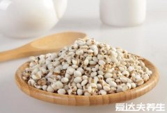 护肝食物三宝,薏仁/山药/龟苓膏护肝保健效