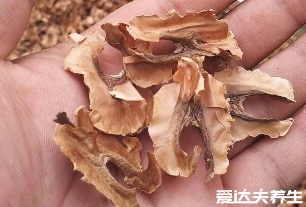 核桃分心木泡水喝的功效与作用,男人补肾壮阳/女人补血活血(6大功效)