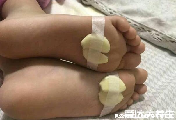 咳嗽吃什么食物好得最快最有效,冰糖/雪梨/萝卜/荸荠/枇杷