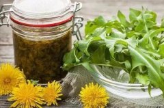 女人喝蒲公英水的作用,通乳散结/美容养颜