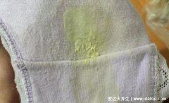 女性下面感染早期症状图片,霉菌感染的霉