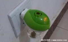 电蚊香液对人有害吗,家中养猫或有孕妇婴