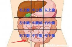 阑尾炎在左边还是右边疼痛位置图片，右下