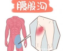 腹股沟在哪个位置图片，人体会阴部的两侧