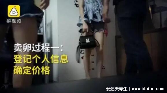 卵妹是什么意思,卖卵子来赚钱的女孩(比代孕更危险)