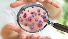 儿童白血病早期七大症状,有发热流鼻血还