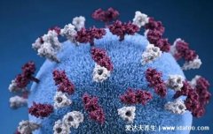 奥密克戎症状有哪些，倾向于上呼吸道感染