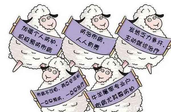 布病终身携带一辈子痛苦,慢性期可无法治愈(后果不孕不育)