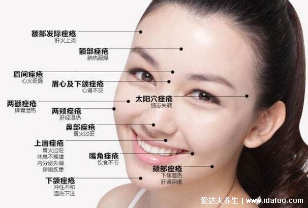 脸部长痘对应五脏的图,两颊长痘对应左肝右肺