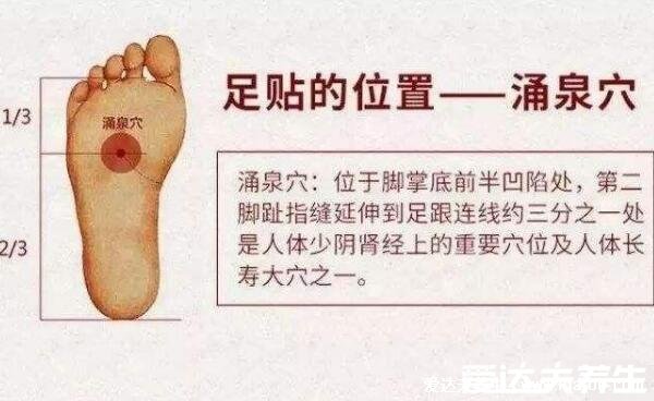 脚底按摩图反射区图片,按摩大脑反射区可治疗头痛