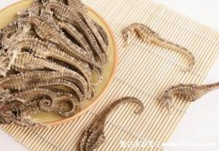 海马的功效与作用吃法,补肾壮阳但肾阴虚