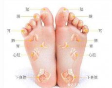 脚底按摩图反射区图片,按摩大脑反射区可