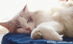 睡觉的时候眼睛半睁是为什么，小孩睡觉露