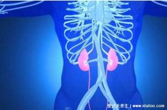 五脏之伤穷必及肾是什么意思，五脏的病长