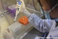 核酸检测阴性阳性是什么意思,阳性代表近