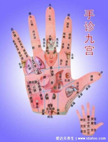 手部反射区图解与疾病高清图大全,手部6大经络清晰图片