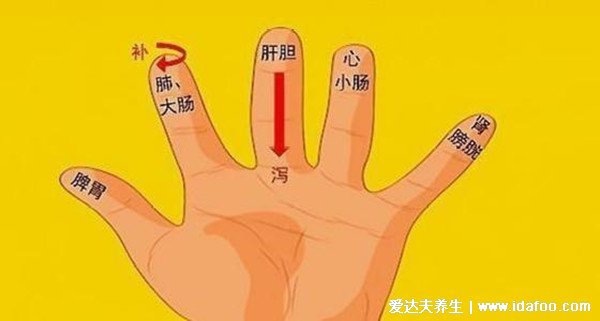 手部反射区图解与疾病高清图大全,手部6大经络清晰图片