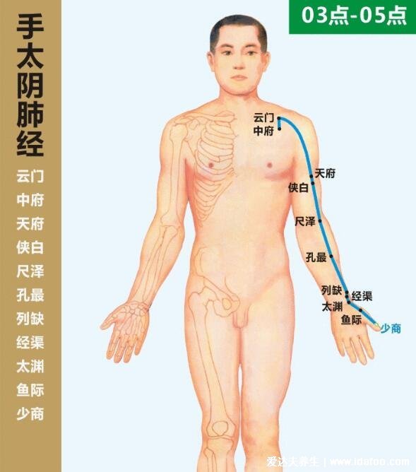手部反射区图解与疾病高清图大全,手部6大经络清晰图片