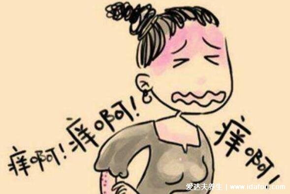 皮肤痒是身体哪里出问题了,警惕肝胆疾病最容易皮肤瘙痒
