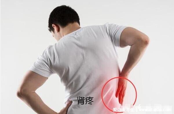 肾结石会引起身体哪个部位疼痛图片,注意肾疼和腰疼的区别图解